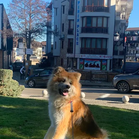 To Door Apartman Banszko