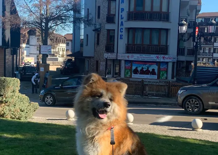 To Door Apartment Bansko